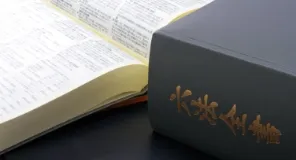 豊富な解決実績